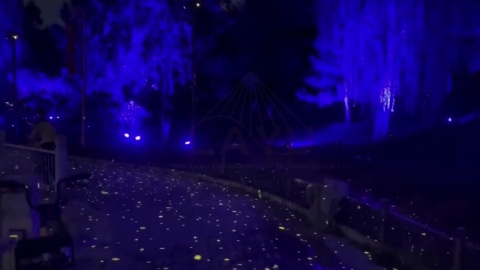 GLD20Y yellow starry light projector installation in park