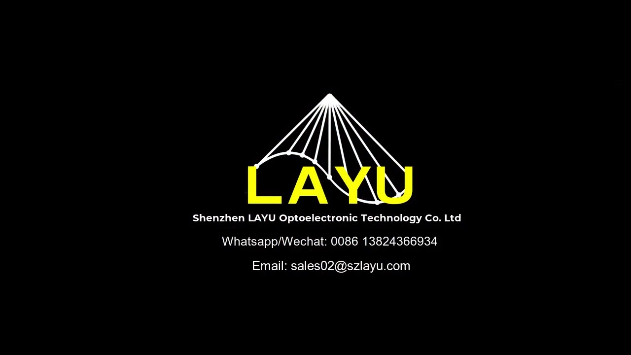 Shenzhen leiyu LASER TECHNOLOGY co., Ltd. en el 15&ordm; aniversario