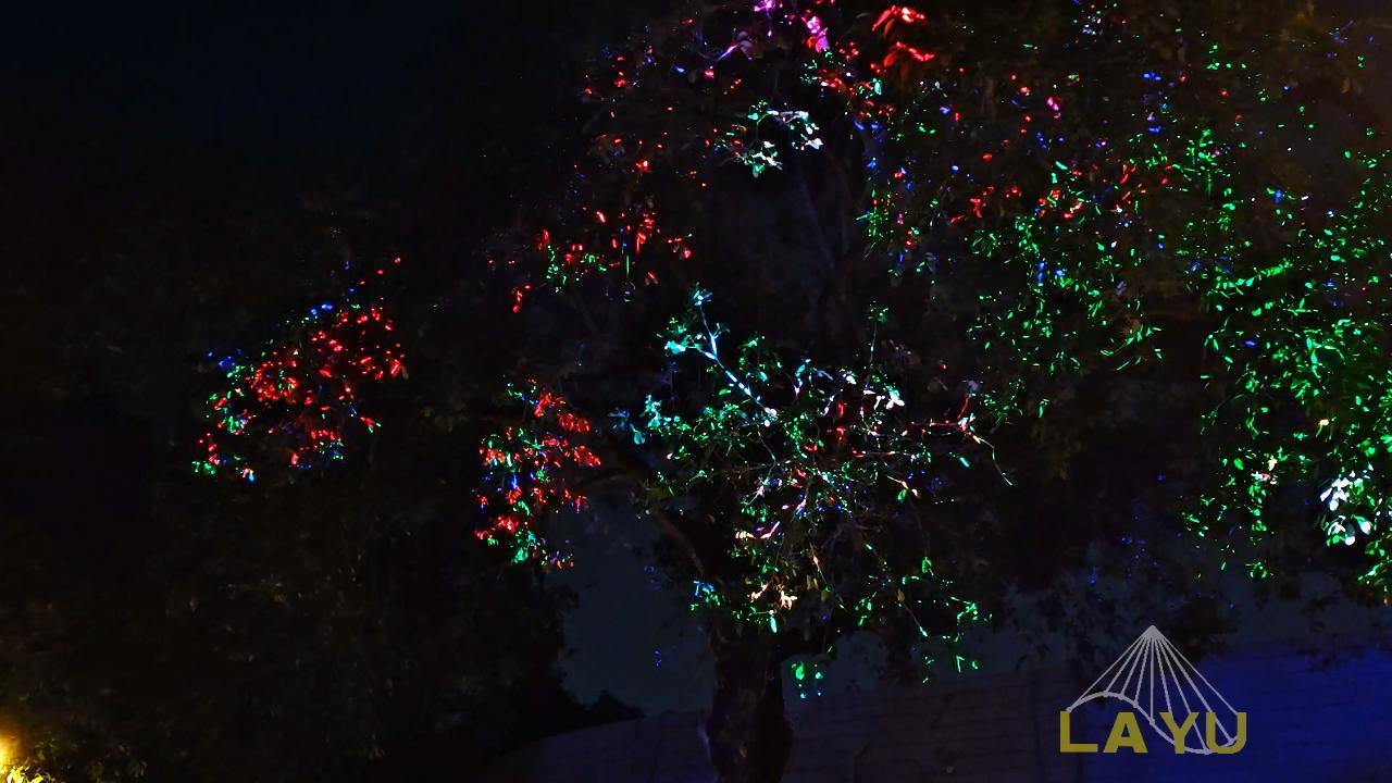 Laser-Created Dream Forest